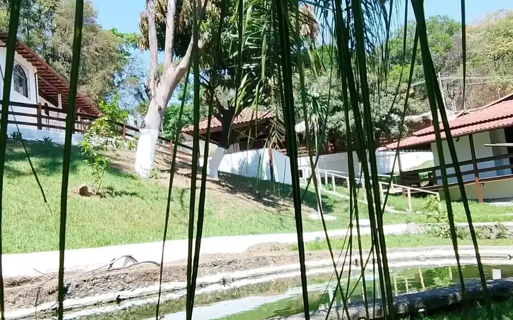 Área Verde